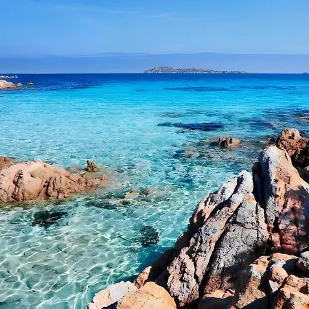 In Un Piccolo Paradiso *